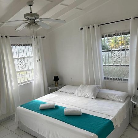 Home2Home Guesthouse 基督教堂市 外观 照片