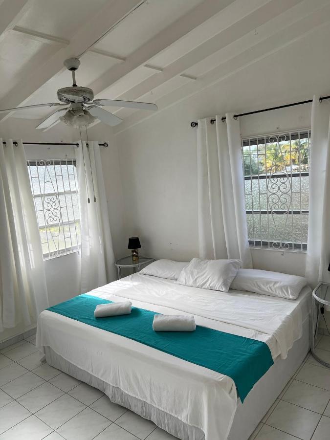Home2Home Guesthouse 基督教堂市 外观 照片