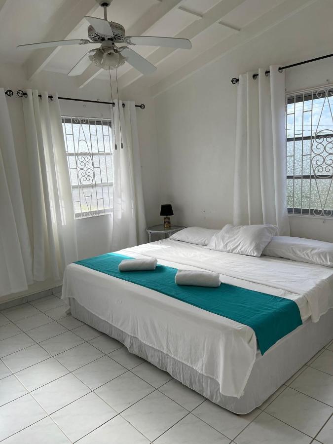 Home2Home Guesthouse 基督教堂市 外观 照片